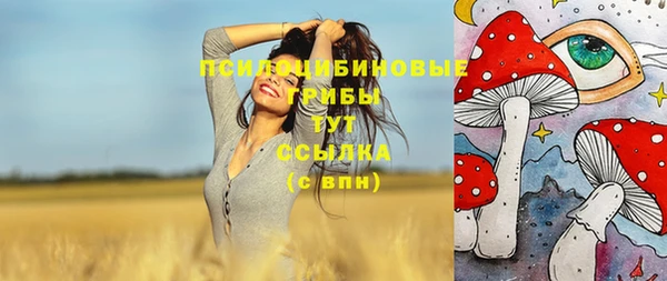 гидропоника Армянск