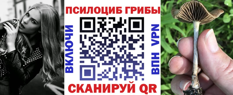кракен ТОР  Тетюши  Галлюциногенные грибы Psilocybe 
