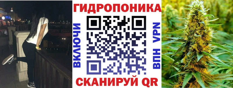 Канабис семена дарнет шоп Тетюши